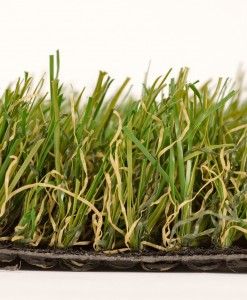 Rufford 01 Rufford 01